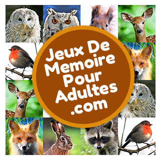 Jeu de mémoire gratuit pour les personnes âgées, les adultes et pour seniors pour jouer: Animaux de la forêt