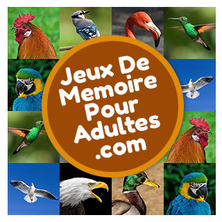 Jeu de société de mémoire en ligne pour seniors et adultes niveau difficile avec images de les oiseaux