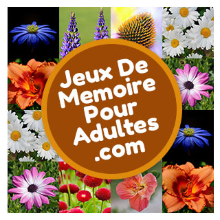 Jeu de société de mémoire gratuit pour seniors et adultes niveau difficile pour jouer en ligne: Les fleurs