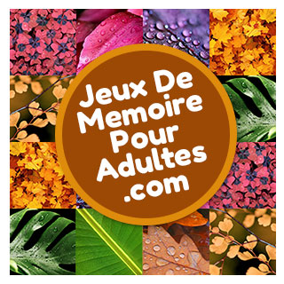 Jeux de mémoire gratuit pour les adultes et les personnes âgées niveau difficile avec 30 cartes pour jouer: Les feuilles