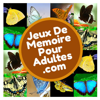 Jeu de société de mémoire en ligne pour personnes âgées, pour adultes et pour seniors avec 30 images de papillons