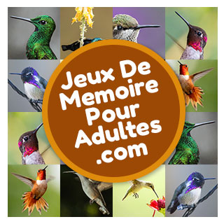 Jeux de mémoire pour jouer en ligne pour les adultes et les personnes âgées niveau difficile avec 30 cartes: Les colibris