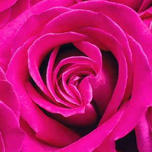 Jeu de mémoire · Facile · Couleurs