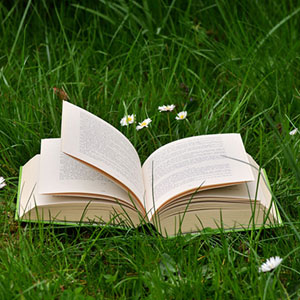 Jeu de mémoire · Facile · Livres