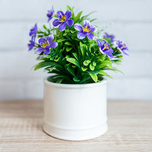 Jeu de mémoire · Moyen · Pots